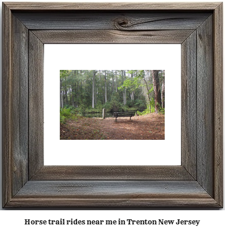 horse trail rides near me in Trenton, New Jersey